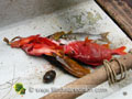 Le poisson rouge