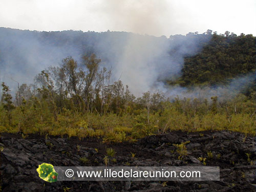 Eruption de la Fournaise, enclos 14/01/2002 - 12h00 - Ile de la Réunion