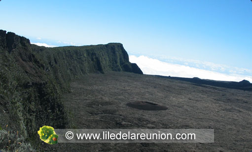 Formica Léo dans l'enclos du Piton de la Fournaise