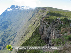 Mado - ile de la réunion