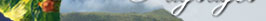 liledelareunion.com - paysages