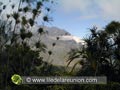 Trouée dans la forêt de Belouve