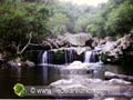 Cascade de la forêt de Dugain