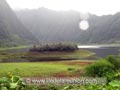 Ilot au milieu du Grand Etang