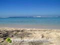 La plage de sable de corail