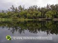 L`Etang de Saint Paul